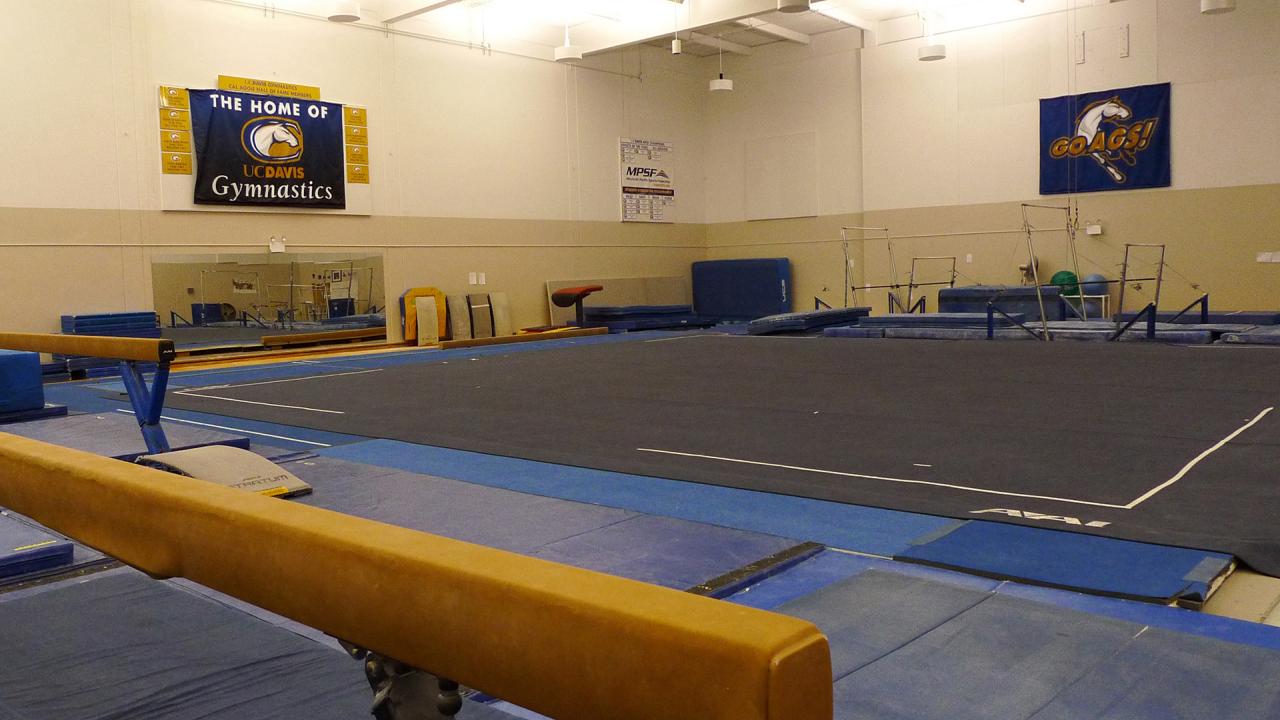 Picture of Lower Hickey Gymnasium setup for Gymnastics